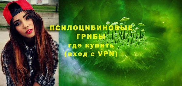твердый Лабытнанги