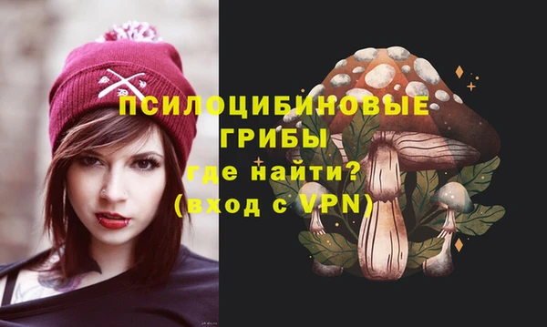 дживик Ладушкин