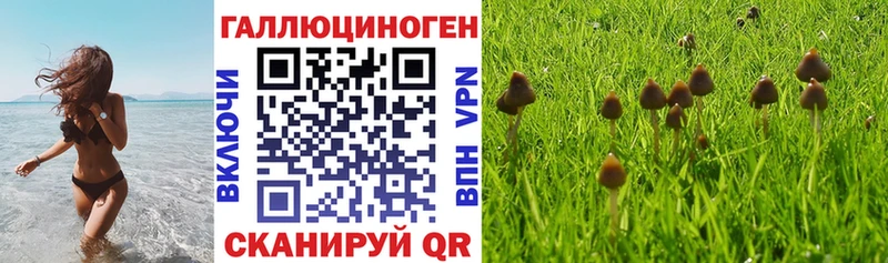 площадка телеграм  Лахденпохья  Галлюциногенные грибы ЛСД  наркота 